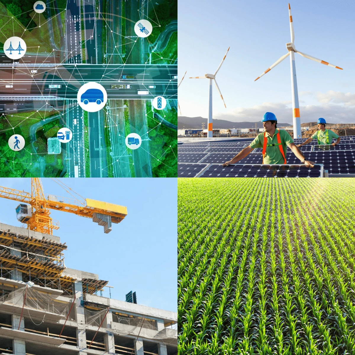 Mosaïque de 4 photos représentant les secteurs d'activités du cabinet Territoria
